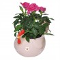 Huhn, Blumentopf, rosa, Keramik, Ostern, Frühling, Dekoration