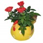 Huhn, Blumentopf, gelb, Keramik, Ostern, Frühling, Dekoration